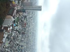 东京都厅-东京都厅舍