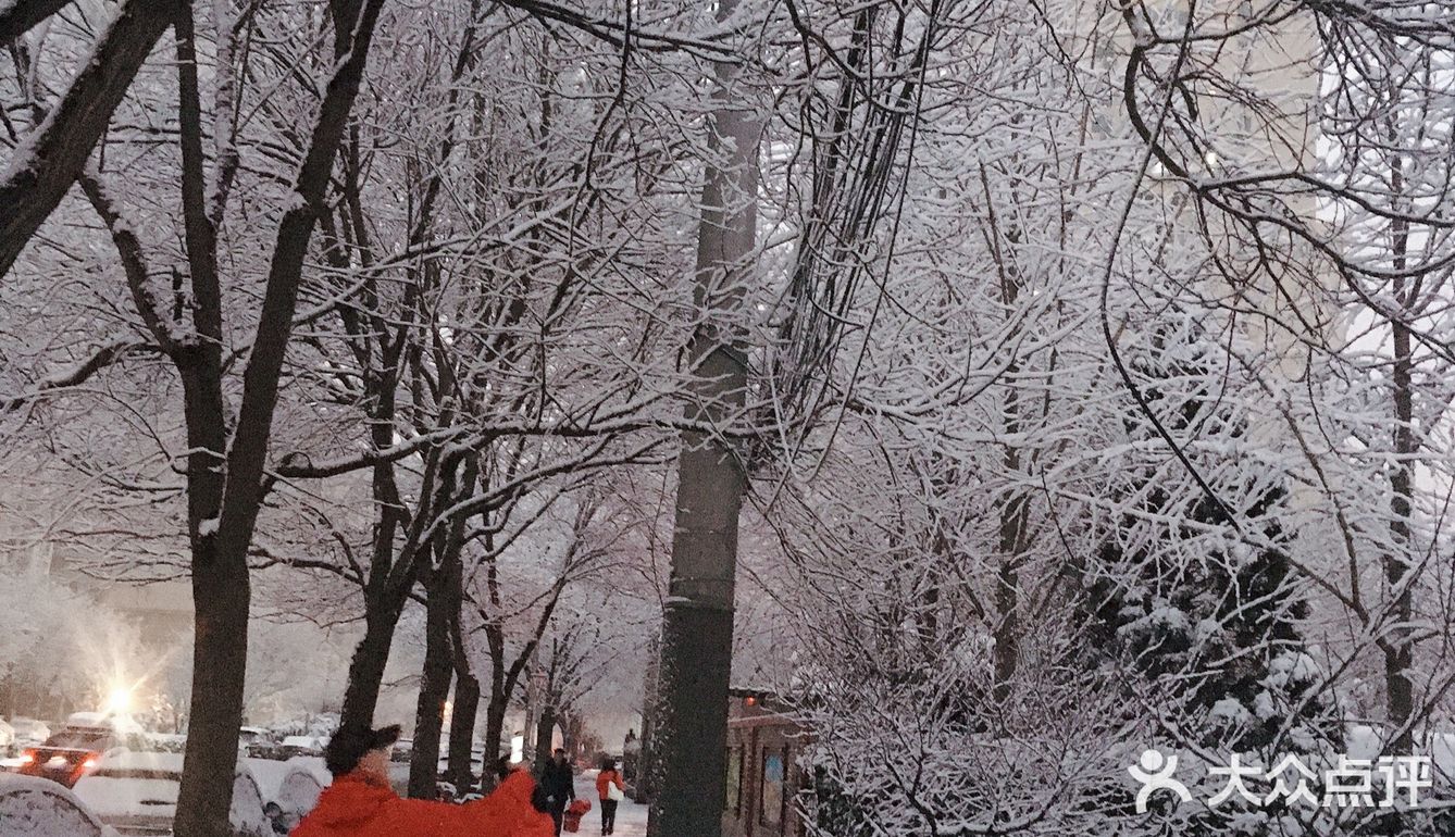 白雪却嫌春色晚，故穿庭树作飞花