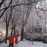 白雪却嫌春色晚，故穿庭树作飞花