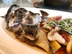清蒸笋壳鱼-富淳饭店(陆家嘴保利广场店)