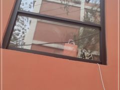 -Catch Bagel(芳草地店)