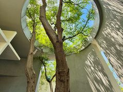 -拾光与烟火丨炭火串烧·自贡小活鲜(西村大院店)