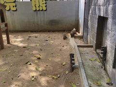 -深圳野生动物园