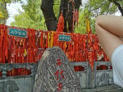 -大槐树寻根祭祖园