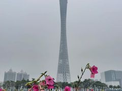 -海心沙亚运公园