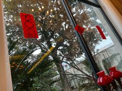 -大可堂普洱茶馆(襄阳南路馆)