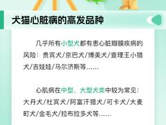 -瑞派申生动物医院·24H夜诊·国际动物医疗中心·骨外科(吴中路店)