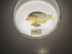 -陕西自然博物馆