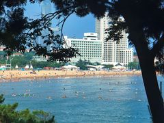 -海合安青岛极地海洋公园