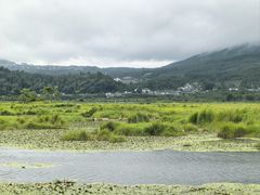 -腾冲北海湿地