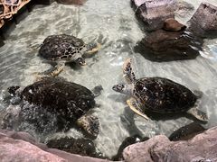 -杭州海底世界