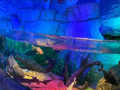 -沈阳海洋探索中心