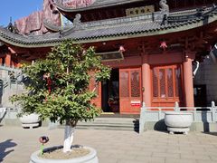 -上海东林寺(金山区)