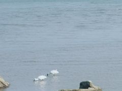 -深圳湾公园(南山区)