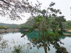 -大雁山风景区