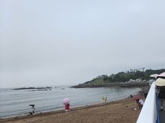 -小麦岛公园