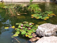 -国家植物园南园