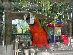 -陕西自然博物馆