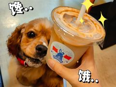 -小意思咖啡店(草桥店)