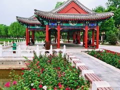 -西海子公园