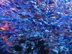 -成都浩海立方海洋公园