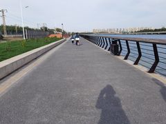 -丁香湖公园