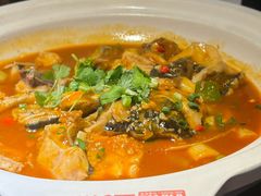 -魏铭鱼头捞饭(晋阳路店)