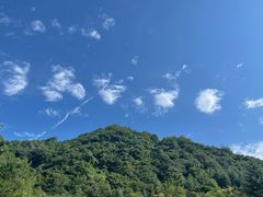 -西安祥峪森林公园
