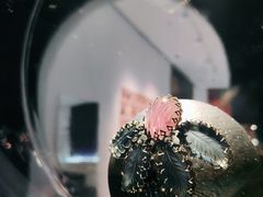 -上海宝龙美术馆