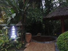 -汇雅温泉