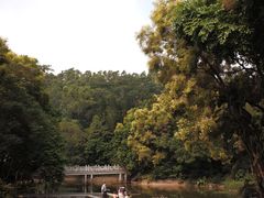 -深圳国际园林花卉博览园