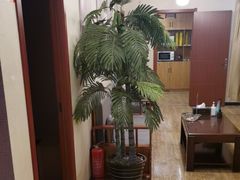 -筋骨堂热敷推拿按摩(枫林绿洲店)