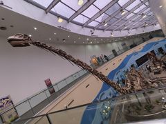 -陕西自然博物馆