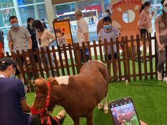 -八合里潮汕鲜牛肉火锅(深圳海岸城店)