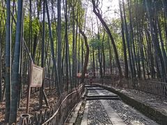 -杭州黄龙洞