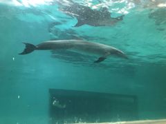 -波塞冬旅游度假区