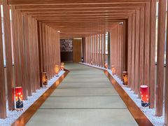 -重庆南山海昌汤都