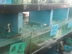 -莲花公园煎蟹(总店)