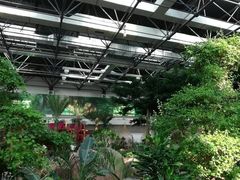 -鲁西南记忆温泉水世界