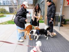 -上海杨思亦阁公寓
