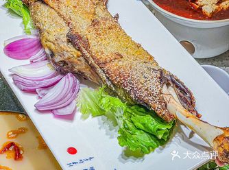 来自大西北黄土高原上的羊肉陕西羊肉界扛把子️