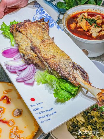 来自大西北黄土高原上的羊肉陕西羊肉界扛把子️