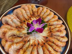 -中苑海韵
