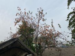 -自如ZSPACE四合院艺术餐厅