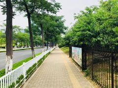 -济南奥林匹克体育中心体育场