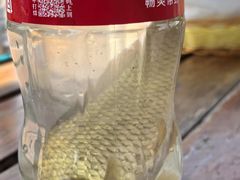 -樂桃源奉贤黄桃种植采摘基地