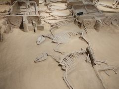 -洛阳周王城天子驾六博物馆