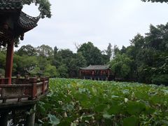 -房湖公园