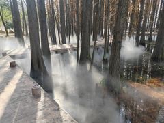 -东湖落雁景区