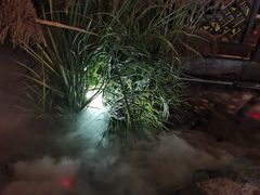 -桂满陇-十里风荷(合生汇店)